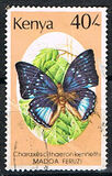 [Butterflies, тып PN]