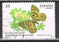 [Rare Species, տեսակ EFY]
