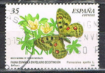 [Rare Species, տեսակ EFY]