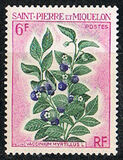 [Fruit Plants, tip FE]