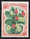[Fruit Plants, tip FC]