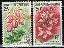[Flowers, වර්ගය CT]