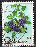 [Fruits, type AAB]