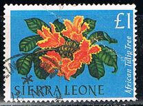 [Flowers, タイプ CD]