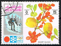 [Winter Olympic Games - Sapporo, Japan, type UQ]
