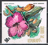 [Flowers of Guinea, typ PB]