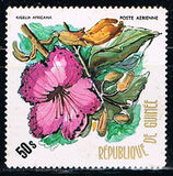 [Flowers of Guinea, typ PB]