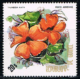 [Flowers of Guinea, typ OZ]