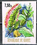 [Flowers of Guinea, typ OT]