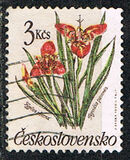 [Flowers, tip CQP]