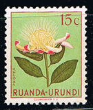 [Indigenous Flora, प्रकार AX]