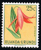 [Indigenous Flora, प्रकार AZ]