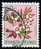 [Indigenous Flora, प्रकार BC]