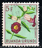 [Indigenous Flora, Tipi BK]