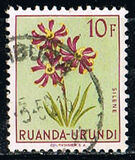 [Indigenous Flora, Tipi BN]