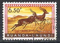 [Fauna, प्रकार CE]