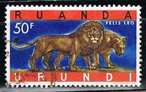 [Endangered Animals - Big Cats, type CN]