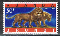 [Endangered Animals - Big Cats, type CN]