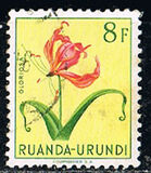 [Indigenous Flora, Tipi BM]