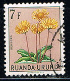 [Indigenous Flora, Tipi BL]