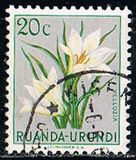 [Indigenous Flora, प्रकार AY]