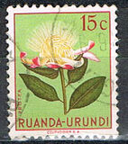 [Indigenous Flora, प्रकार AX]