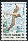[Birds and Coat of Arms, tegund H]