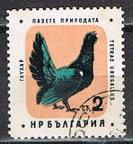[Nature Conservation - Birds, Tip ALV]