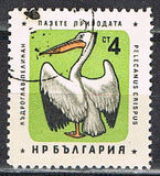 [Nature Conservation - Birds, Tip ALW]