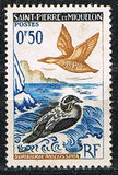 [Birds, type CX]