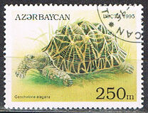 [Tortoises and Turtles, type FD]