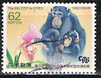 [The 8th Conference of Parties to Convention on International Trade in Endangered Species, Kyoto City, type CIT]