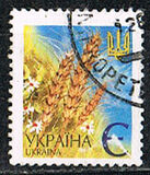 [Definitive Issue, Tip NJ]