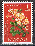 [Indigenous Flowers, Tipi CI]