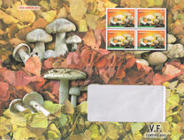 [Flora - Mushrooms, type FZB]