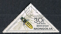 [Inscects - Bees and Wasps, typ ZUC]