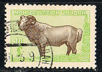 [Mongolian Animals, Вид CU]