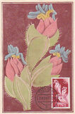 [Flora & Fauna, tegund AD]