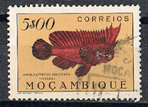 [Fish, Typ CO]