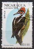 [Birds, type BCW]