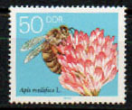 [Honey Bees, type DFU]