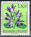 [Indigenous Flora, प्रकार BG]