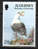 [Flora and Fauna, տեսակ BY]