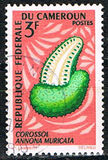 [Fruits, tip HC]