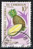 [Fruits, tip HH]