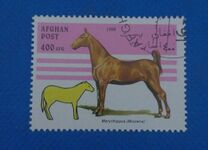 [Horses, type AMT]