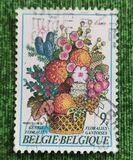 [Flower Exhibition in Gent, type AZS]