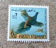 [Fauna - Birds, type PZ]