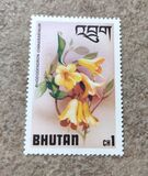 [Rhododendrons, type XF]