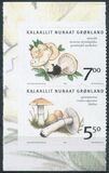 [Edible Fungi, タイプ NX]